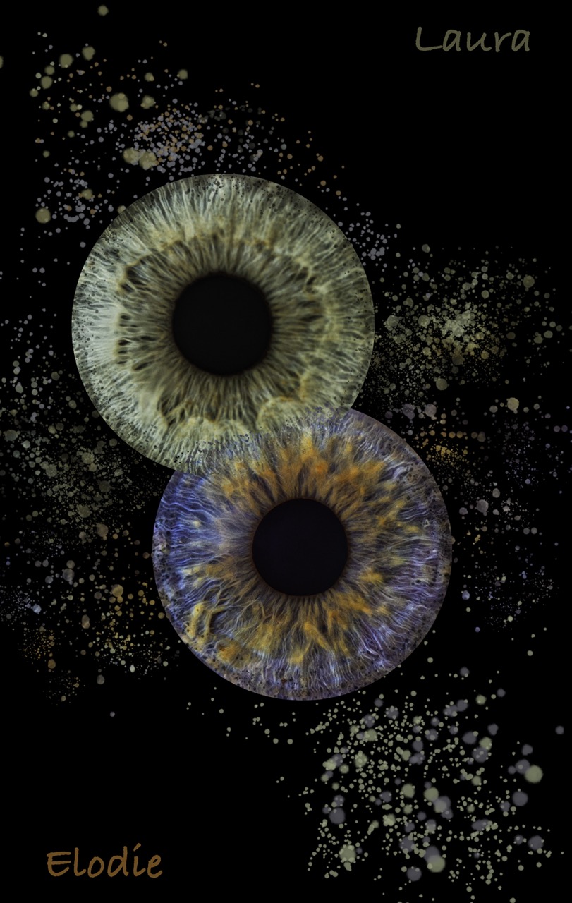 jerome-w-photographies - photo iris style splash